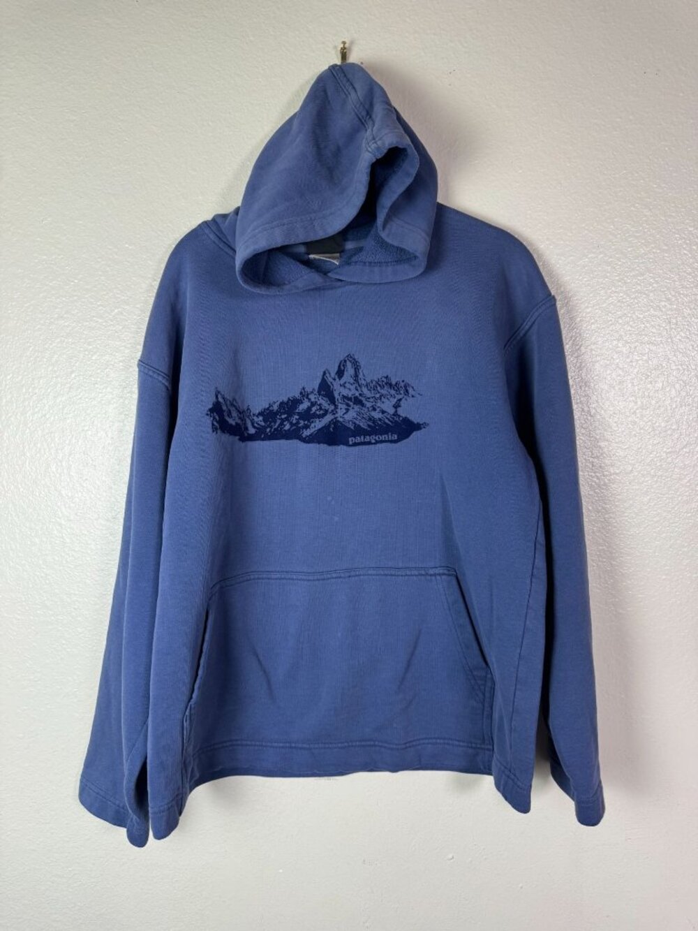 Patagonia Organic Cotton Hoodie Blue Men size Small Graphic Outdoor